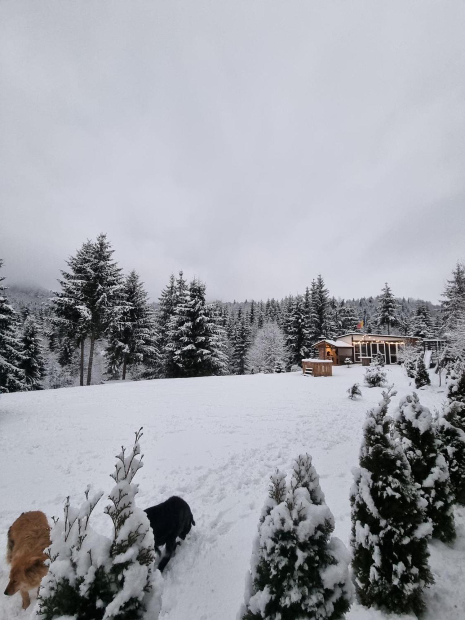 Cabana Casaru Колібіца Екстер'єр фото